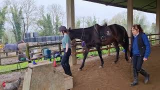 Introduction leading a horse mounting checking girth and stirrups part 1 [upl. by Shelagh648]