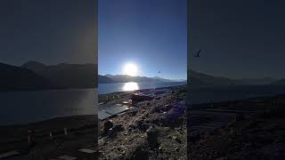 pangong lake ladakh पैंगोंग झील pangonglake shorts shortsviral trendingshorts themountainsoul [upl. by Hendel918]