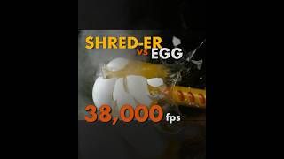 BUGASALT SHREDER destroys egg 38000 fps slowmo saltgun shredder bugasalt [upl. by Carmon]