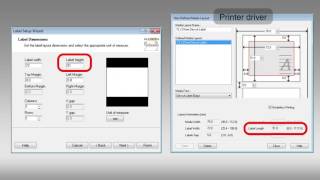 Epson ColorWorks TMC3500  Setting Label Dimensions in Nice Label [upl. by Najram]