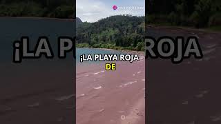 Curiosidades de las playas del mundo 🌍🏖️ curiosidades shorts playas [upl. by Lihka]