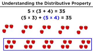 The Distributive Property for Arithmetic [upl. by Nauhs]