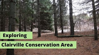 Exploring Claireville Conservation Area in Toronto [upl. by Tecil]