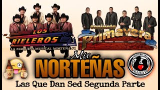 Conjunto Primavera Ft Rieleros Del Norte Norteñas Mix Las Que Dan Sed Segunda Parte Edit 2020 [upl. by Anailuy]