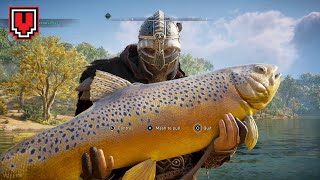 AC VALHALLA  Eivor Catches A GiantAss Fish Big Brown Trout [upl. by Qiratla617]