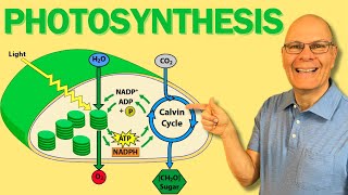 Boost AP Bio Success with this Photosynthesis Overview [upl. by Susejedesoj]