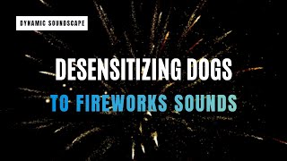 Overcome Triggers Desensitizing Dogs to Fireworks [upl. by Jaclin]