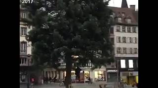 Un troll sort du sapin de Noël de Strasbourg sous la menace du bûcheron [upl. by Nehgem]