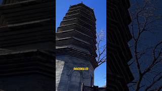 The Beijing Wansong Elderly Tower in Winter citytour citylife citywalks beijing travel shorts [upl. by Quinta]