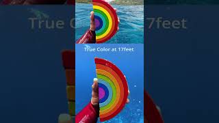 Underwater color test at 40ft12m 🎨 DJI Osmo Action 5 Pro 🎬 roamtobewild7801 [upl. by Acir994]