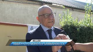 ✅ BELLIZZI ABBATTUTO MURO EX GAMBARDELLASUD TV 114 [upl. by Josias396]