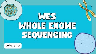 WES Whole Exome Sequencing  Genetic Testing  Labnetics [upl. by Weksler]