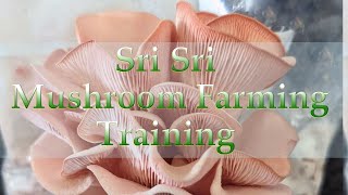 Sri Sri Mushroom Farming Training [upl. by Aliuqaj775]