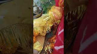 Kale kale shaligram Tulsi Vivah 🙏🙇🙇🪔🪔 short video [upl. by Hinch]