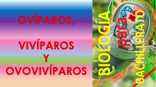 BIOLOGÍA PARA BACHILLERATO ovíparos vivíparos y ovovivíparos [upl. by Lirbij6]