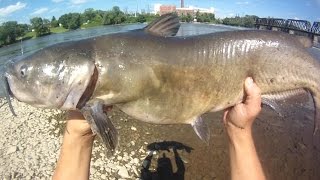 Bait Fishing 103  Channel Catfish River Fishing with Cut Bait Chicken Liver and Raw Chicken [upl. by Donia]