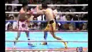 Saman VS Humberto Gonzalez Fight of the Year 95 R4 [upl. by Twyla665]