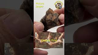 Picture Jasper Before and After Tumble Polishing crystals geology rockhounds jasper rocks [upl. by Anura]