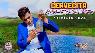 CERVECITA EL CALMANTE DE MI TRISTEZA  NUEVO STILO PRIMICIA 2024 video clip [upl. by Henrique]