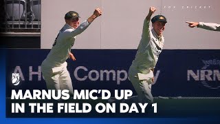 The Big Cheese on the board  Micd up Marnus cracks zingers with McSweeney 🤣  Fox Cricket [upl. by Conall]