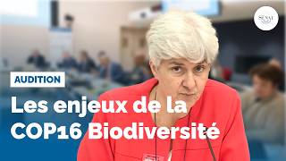 COP 16 Biodiversité  audition de S Lemmet et SGoulard [upl. by Damarra]