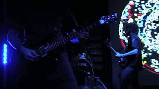 The Ocean  Firmament OFFICIAL LIVE VIDEO [upl. by Anahsar]