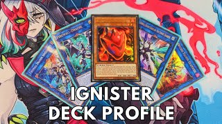 Competitive Ignister deck profile April 2024 TCG Yugioh [upl. by Retepnhoj884]