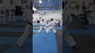 Sensei Luis MariaI Sanz  Highlights III [upl. by Sedgewake]