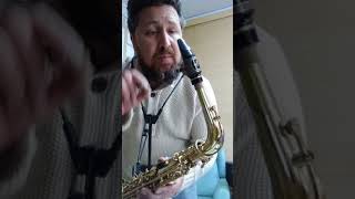 SAX ALTO SELMER SA80II TESTE 1 [upl. by Ellesij84]