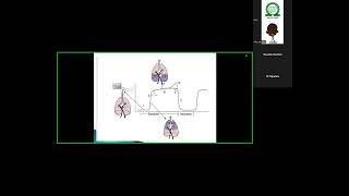 NSA Residents tutorial Capnography [upl. by Amliv]