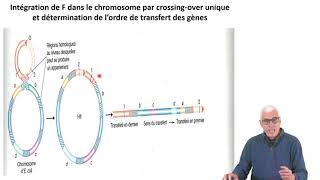 Cours N°20 Génétique bactérienne Mécanisme de transfert de gènes et recombinaison [upl. by Felipa]