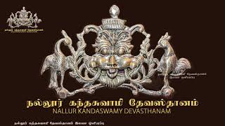 Nallur Kandaswamy Devasthanam 24th Day Evening Festival 2023 Free Live Broadcast [upl. by Pubilis391]