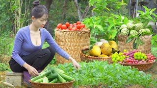 Harvest PapayaSponge Gourd amp Long Beans Goes to market sell  Build A Complete Pig Barn  Lý Thị Ca [upl. by Cela681]