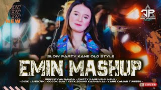 DJ KAMIN EMIN MASHUP VIRAL TIKTOK SLOW PARTY KANE  DIDIK JANGKRIK [upl. by Nnorahs]