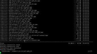 Chroot on CentOS 7 [upl. by Eerihs]