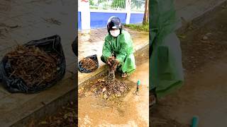 Debris Gone Clearing Culverts for Smooth Drainage [upl. by Sherj]