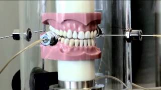 Dental Chewing Machine [upl. by Peg678]