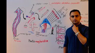 Endoplasmic reticulum amp Lysosome এন্ডোপ্লাজমিক জালিকা ও লাইসোসোম  Dr Razib Hossain Sarkar [upl. by Weinstein]