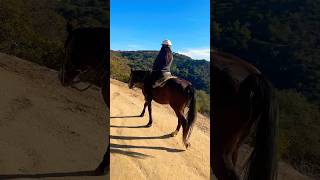 Horseback riding in the Hollywood Hills [upl. by Gwenn958]