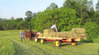 Haying with Draft Horses at Full and By Farm [upl. by Monjan849]