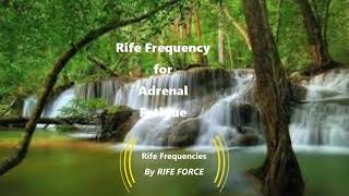 Adrenal Fatigue  Rife Frequency [upl. by Delle]