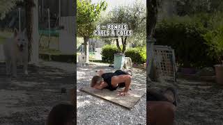 5 minute d’exercice pompes pour faire plus de pompes 💪👌 pompescalisthenics pushups pompe [upl. by Aneeras]