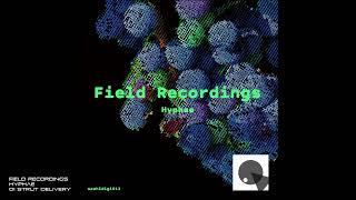 Field Recordings  Hyphae  01 Strut Delivery [upl. by Raskind204]