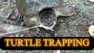 Turtle Trapping 2014 [upl. by Rieger]