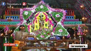 🔴 Vaitheeswaran Koil Kiruthigai Abhishekam  Thiruvaiyaru Live [upl. by Lewak]