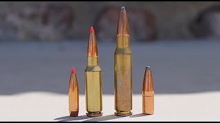 65 Grendel vs 308 Winchester Everything You Need To Know [upl. by Aicirtel]