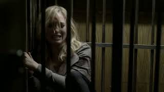 Caroline Gets Tortured  The Vampire Diaries 2x13 Scene [upl. by Ennairod947]