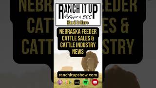 Nebraska Feeder Cattle Sales amp Cattle Industry News [upl. by Hubsher]