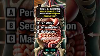 Anatomy and physiology Quiz part 356shorts [upl. by Lach]