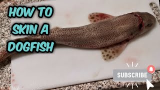 How to Prepare and Skin a Dogfish [upl. by Lazare299]